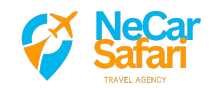 NeCar Safari Blog