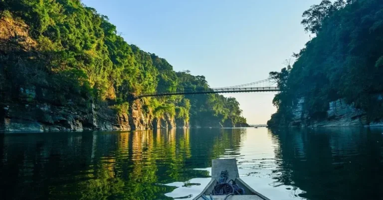 dawki_living_root_bridge_a2653ee794