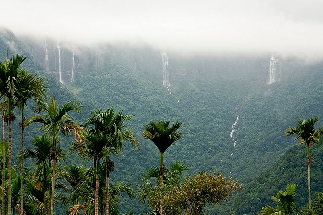Meghalaya Day Tour Package starting at 6500 only